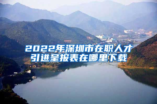 2022年深圳市在职人才引进呈报表在哪里下载