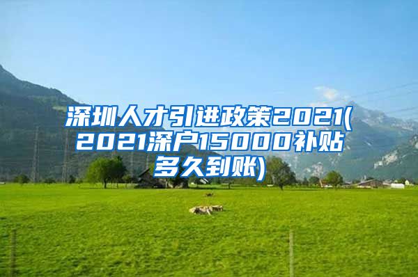 深圳人才引进政策2021(2021深户15000补贴多久到账)