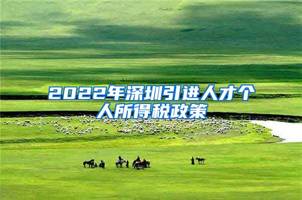 2022年深圳引进人才个人所得税政策