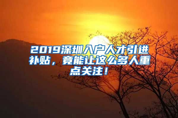 2019深圳入户人才引进补贴，竟能让这么多人重点关注！