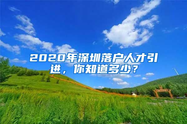 2020年深圳落户人才引进，你知道多少？