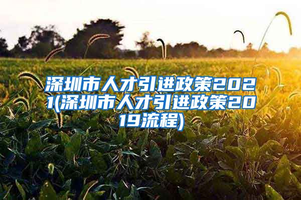 深圳市人才引进政策2021(深圳市人才引进政策2019流程)