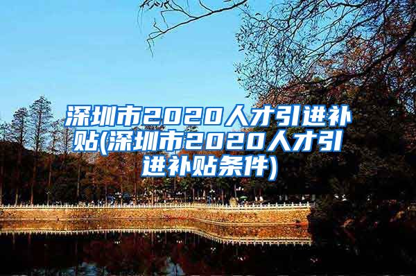 深圳市2020人才引进补贴(深圳市2020人才引进补贴条件)