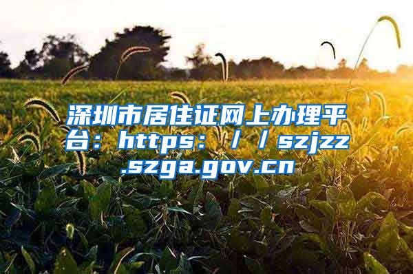 深圳市居住证网上办理平台：https：／／szjzz.szga.gov.cn