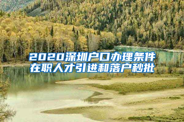 2020深圳户口办理条件在职人才引进和落户秒批