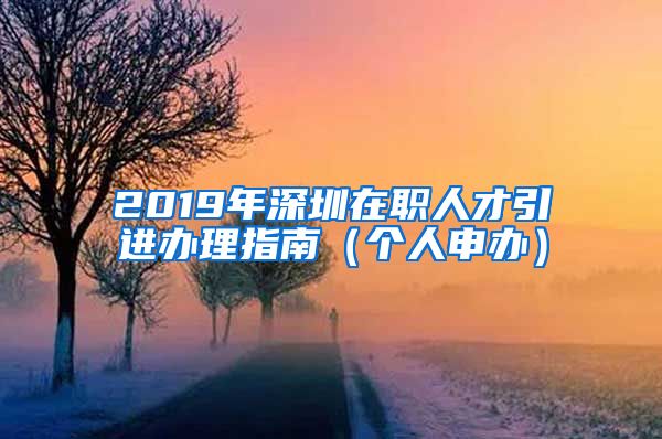 2019年深圳在职人才引进办理指南（个人申办）