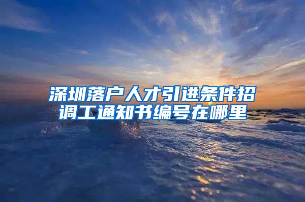 深圳落户人才引进条件招调工通知书编号在哪里