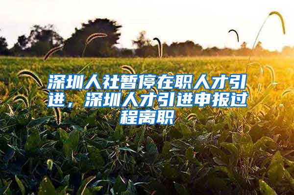 深圳人社暂停在职人才引进，深圳人才引进申报过程离职