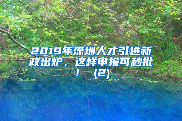 2019年深圳人才引进新政出炉，这样申报可秒批！ (2)