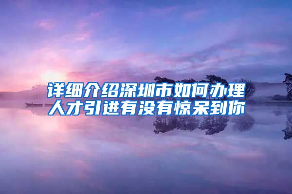 详细介绍深圳市如何办理人才引进有没有惊呆到你