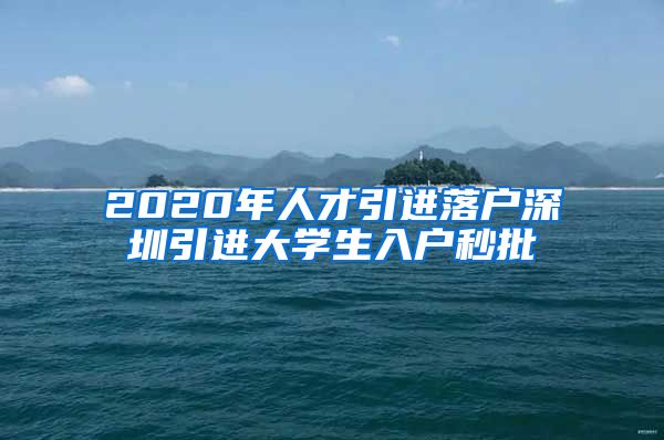 2020年人才引进落户深圳引进大学生入户秒批