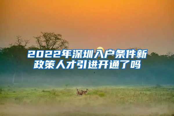 2022年深圳入户条件新政策人才引进开通了吗