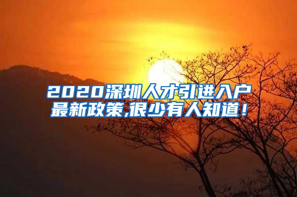 2020深圳人才引进入户最新政策,很少有人知道！