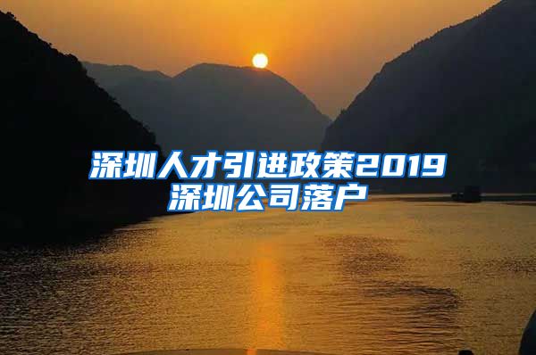 深圳人才引进政策2019深圳公司落户