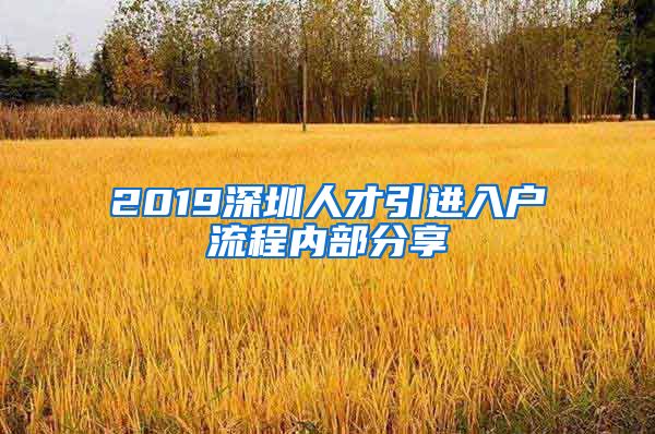 2019深圳人才引进入户流程内部分享