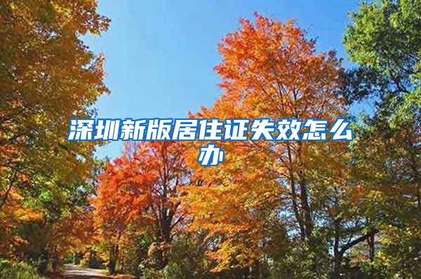 深圳新版居住证失效怎么办