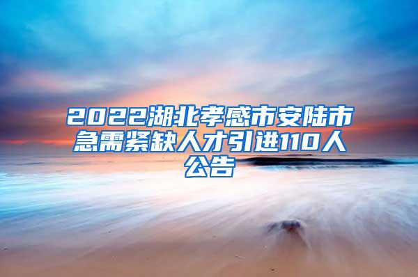 2022湖北孝感市安陆市急需紧缺人才引进110人公告