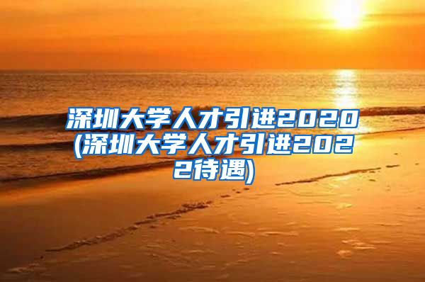 深圳大学人才引进2020(深圳大学人才引进2022待遇)