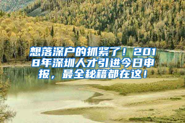 想落深户的抓紧了！2018年深圳人才引进今日申报，最全秘籍都在这！