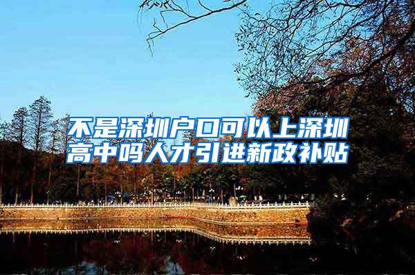 不是深圳户口可以上深圳高中吗人才引进新政补贴