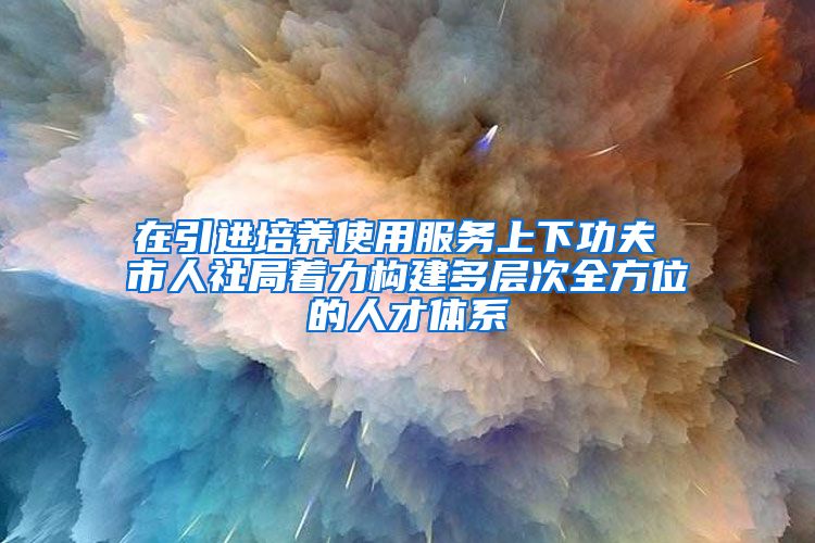 在引进培养使用服务上下功夫 市人社局着力构建多层次全方位的人才体系