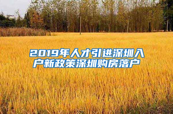 2019年人才引进深圳入户新政策深圳购房落户