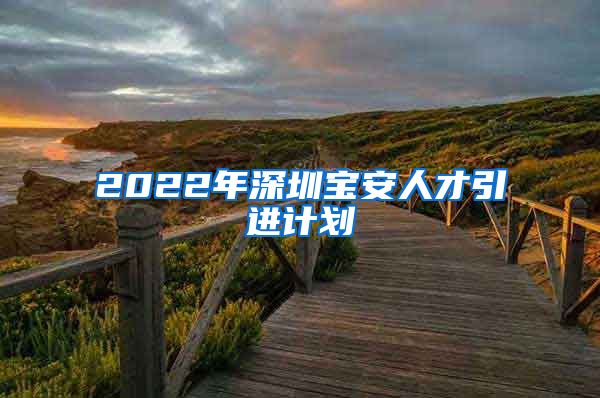 2022年深圳宝安人才引进计划