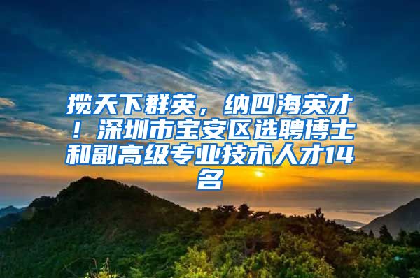 揽天下群英，纳四海英才！深圳市宝安区选聘博士和副高级专业技术人才14名