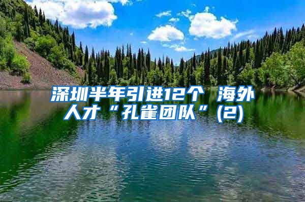 深圳半年引进12个 海外人才“孔雀团队”(2)