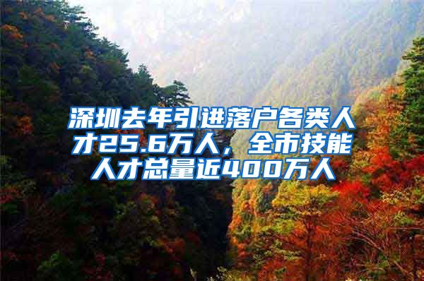 深圳去年引进落户各类人才25.6万人，全市技能人才总量近400万人