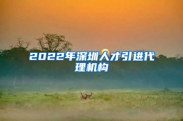 2022年深圳人才引进代理机构