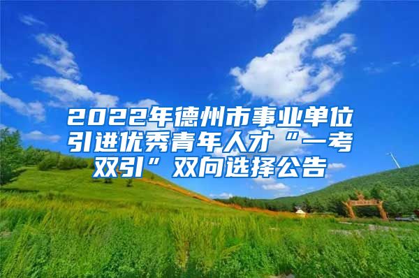 2022年德州市事业单位引进优秀青年人才“一考双引”双向选择公告