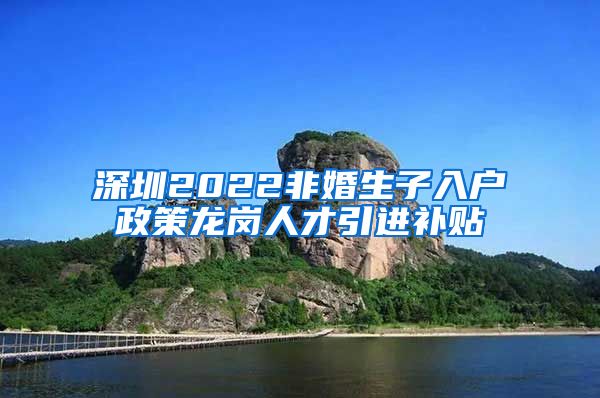 深圳2022非婚生子入户政策龙岗人才引进补贴