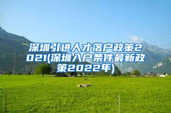 深圳引进人才落户政策2021(深圳入户条件最新政策2022年)