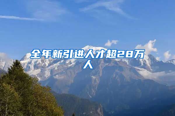 全年新引进人才超28万人