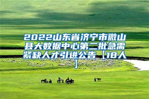 2022山东省济宁市微山县大数据中心第二批急需紧缺人才引进公告【18人】