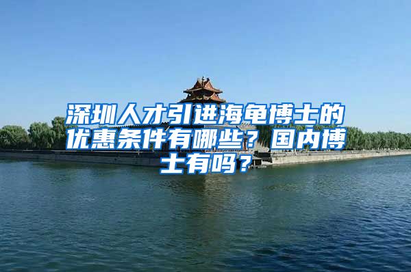 深圳人才引进海龟博士的优惠条件有哪些？国内博士有吗？