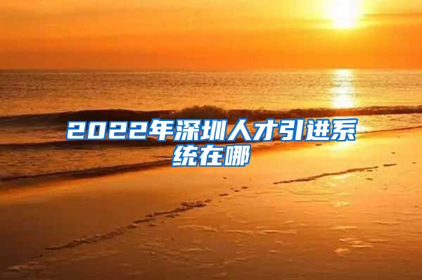 2022年深圳人才引进系统在哪