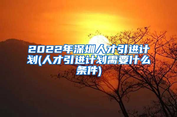 2022年深圳人才引进计划(人才引进计划需要什么条件)