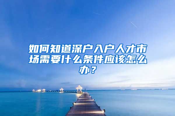 如何知道深户入户人才市场需要什么条件应该怎么办？