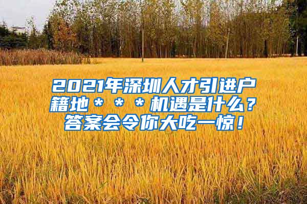 2021年深圳人才引进户籍地＊＊＊机遇是什么？答案会令你大吃一惊！