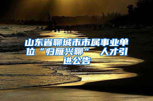 山东省聊城市市属事业单位“归雁兴聊” 人才引进公告