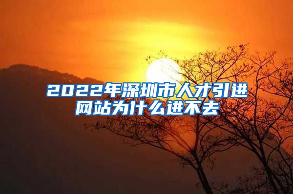 2022年深圳市人才引进网站为什么进不去