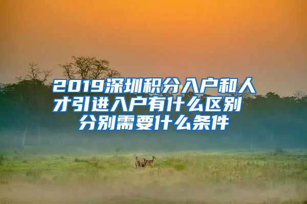 2019深圳积分入户和人才引进入户有什么区别 分别需要什么条件