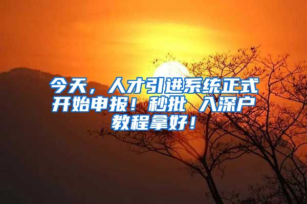 今天，人才引进系统正式开始申报！秒批 入深户教程拿好！