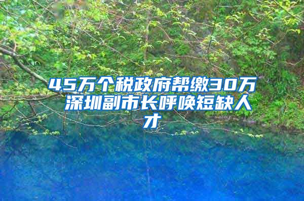 45万个税政府帮缴30万 深圳副市长呼唤短缺人才