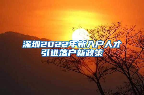 深圳2022年新入户人才引进落户新政策