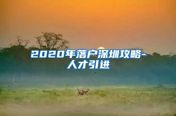 2020年落户深圳攻略-人才引进