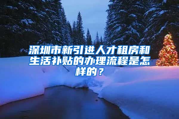 深圳市新引进人才租房和生活补贴的办理流程是怎样的？