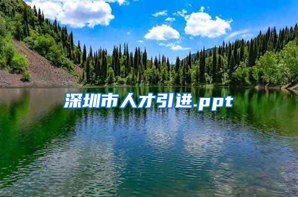 深圳市人才引进.ppt